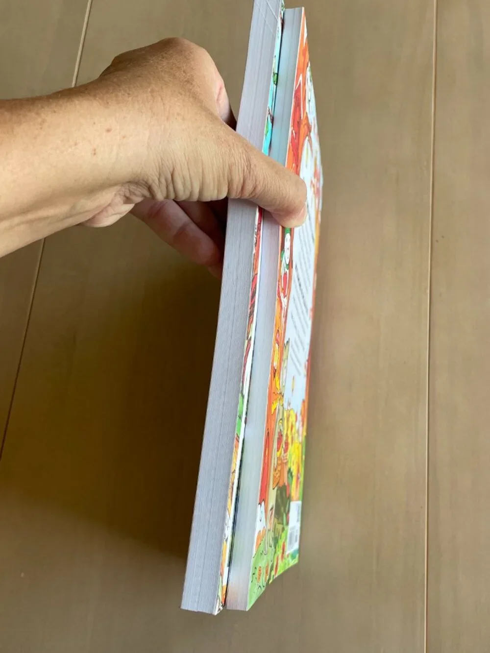 Entire Closet $5! NEW The Four Seasons Spelling Time, Fun-Schooling Spelling